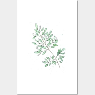 Olive leaf branch - Botanical water colour Posters and Art